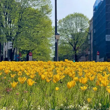 Готель Lidar 2*